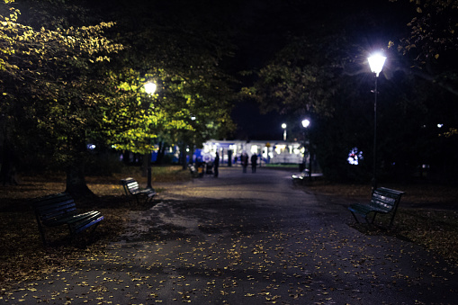 Empty park, benches, nigh. Krakow in Poland. Park Jordana. No people. Medium shot.
