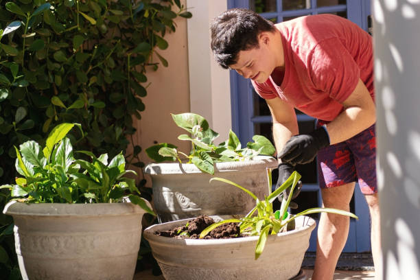 istock Boy with down syndrome gardening 1282923483