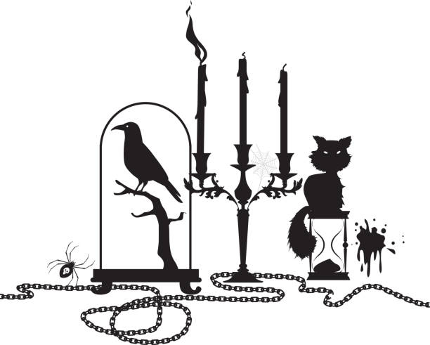 Mystical black and white design Halloween theme header design with a black cat, candles, taxidermy and candles, EPS 8 vector illustration, no white object taxidermy cat stock illustrations