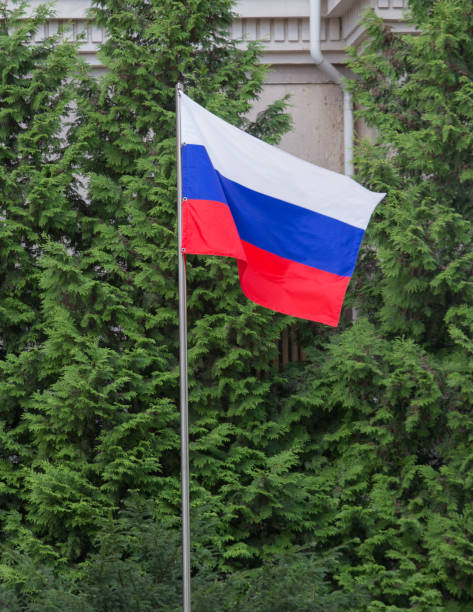 istock Russia flag on a background of trees 1282923612