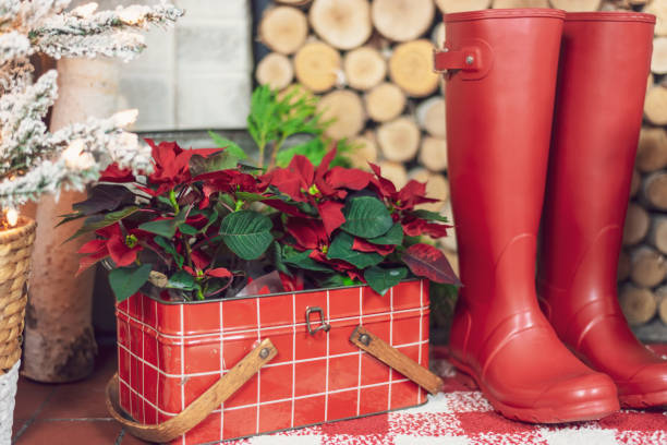 istock Rustic holiday home decor with red boots and poinsettia flowers 1282925645