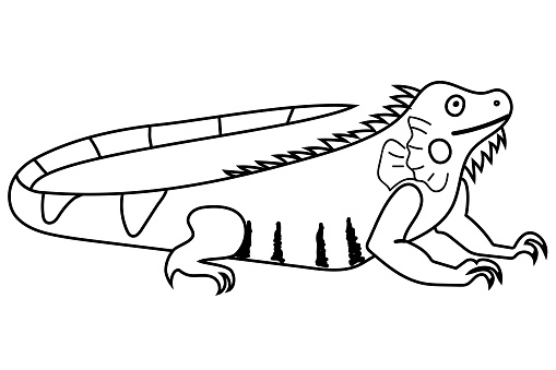Ilustración de Ilustración De Iguana Para Colorear Libro Actividad Para  Niños y más Vectores Libres de Derechos de Animal - iStock