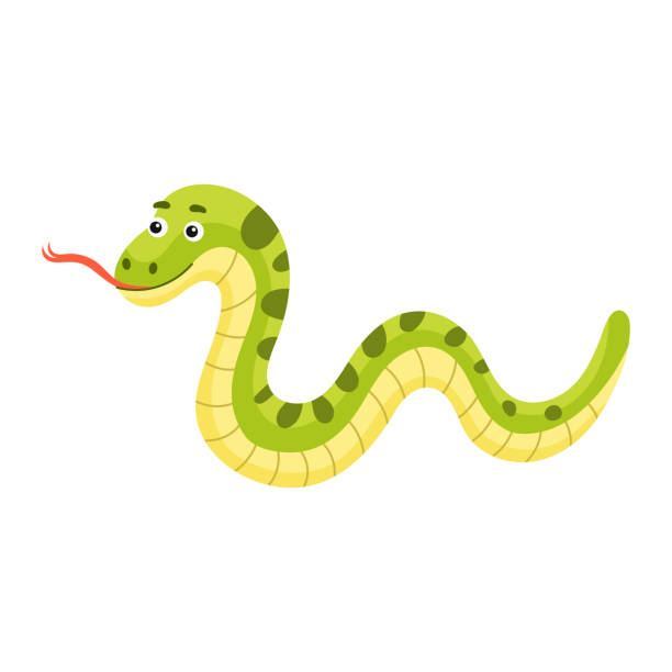 ilustrações, clipart, desenhos animados e ícones de estampa de cobra engraçada no fundo branco. personagem animal de desenho animado para design de álbum, scrapbook, cartão de saudação, convite, decoração de parede. ilustração de estoque de vetor colorido plano. - snake