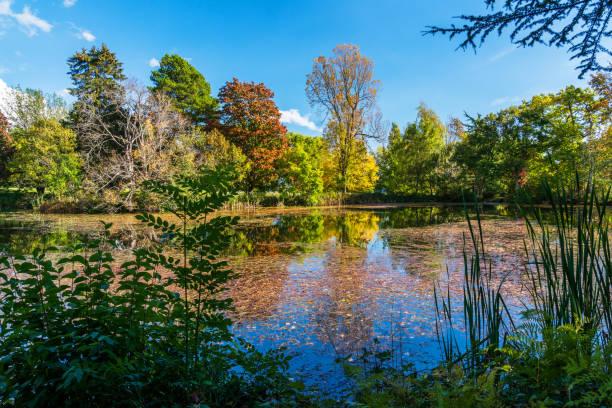 istock Autumn in Victoria BC 1282936383