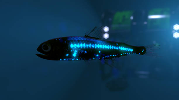 Underwater ROV Fish stock photo