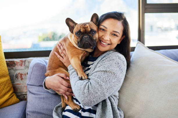 istock Home is where my bulldog is 1282954889