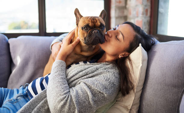 istock It's a wonder-fur world with my cutie around 1282954892