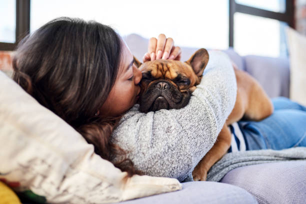 Sometimes the smallest things take up the most space in your heart Shot of a young woman relaxing with her dog at home french bulldog puppies stock pictures, royalty-free photos & images