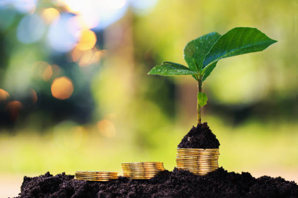 istock Investment ideas for success 1282957947