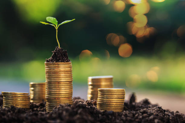 istock Investment ideas for success 1282957948