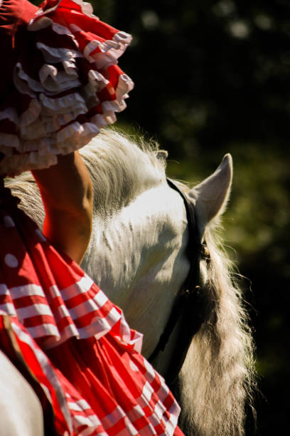 Spanish rider in Feria dress