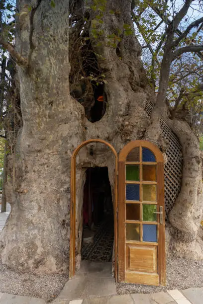 Photo of The tiny church of Panagia Plataniotissa (All Holy Virgin of the Plane Tree) built  inside the hollow of a large plane tree, Kalavryta, Peloponnese, Greece