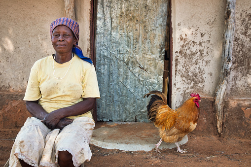 African woman at her farm, rooster livestock walking around