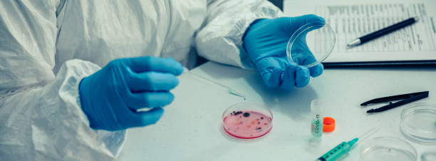 istock Scientist with a petri dish in the laboratory 1282970550