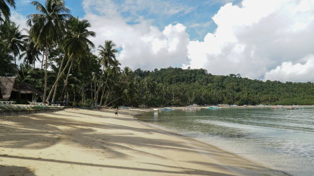 istock Port Barton tropical beach with palm trees on Palawan island in the Philippines. 1282974604