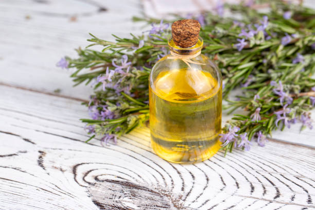 istock Rosemary herbal essential oil 1282980086