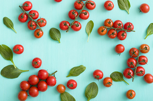 Top view on fresh organic cherry tomatoes with small basil leaves on turquoise background. Healthy food and eating concept.