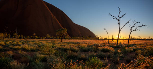 새벽 빛 앳 울루루 - uluru australia northern territory sunrise 뉴스 사진 이미지