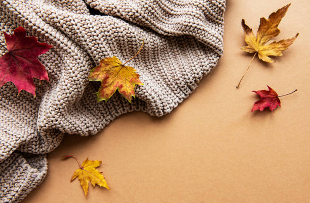 istock Knitted woolen  sweater or plaid,  dry leaves on brown background 1282987109