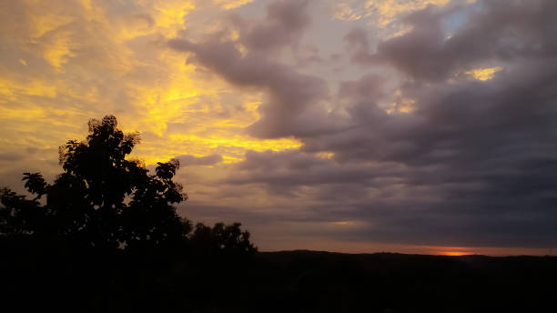 istock view of orange sunset sky over the dark plants 1282991015