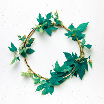 Wreath of green leaves and gold circle frame over white background