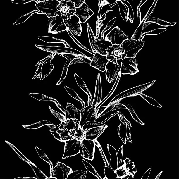 Vector illustration of Floral seamless pattern with contour of hand drawn flowers Daffodils on black.