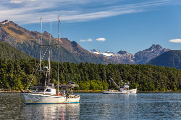 fishing boat sailing in harbor and another fishing boat drifting behind it. mountains, forest and blue sky in the background. sitka, alaska, usa - sitka imagens e fotografias de stock