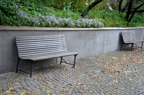 istock benches at the supporting gray supporting concrete wall in the park. Purple asters bloom above the wall in the flowerbed. wood paneled park bench with metalic black frame. 1283000466