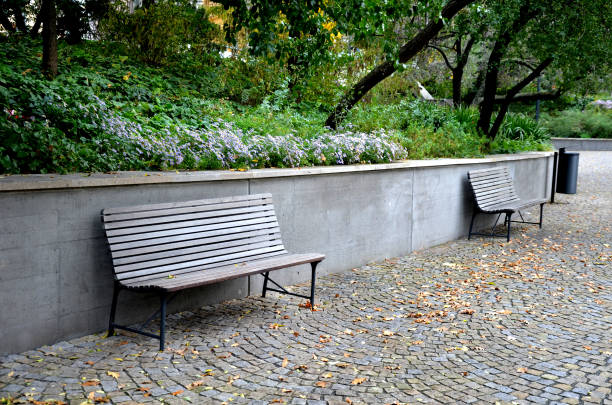 istock benches at the supporting gray supporting concrete wall in the park. Purple asters bloom above the wall in the flowerbed. wood paneled park bench with metalic black frame. 1283000634