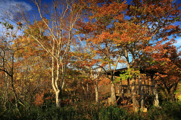 istock Hachimantai in autumn colors 1283000715