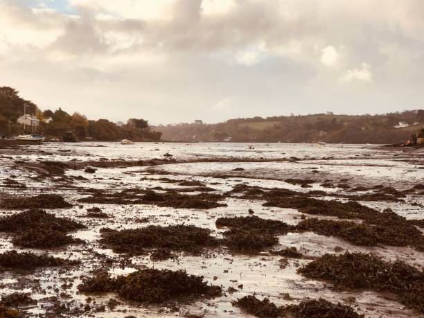 Towards Restronguet Creek.