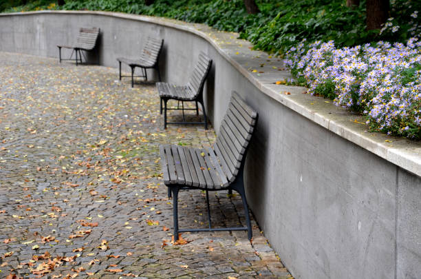 above, amellus, anglie, aster, autumn, background, belgii, bench, cobblestone, concrete, cube, cubes, fall, flowerbed, front, garden, granite, gray, green, high, landscape, leaf, low, nature, novae, outdoor, paneled, paneling, panelling, park, path, pavement, paving, promenade, public, purple, raised, retaining, side, sidewalk, slope, summer, supporting, tree, trunk, view, violet, wall, wood, wooden