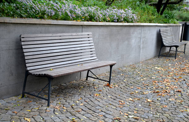 istock benches at the supporting gray supporting concrete wall in the park. Purple asters bloom above the wall in the flowerbed. wood paneled park bench with metalic black frame. 1283000837