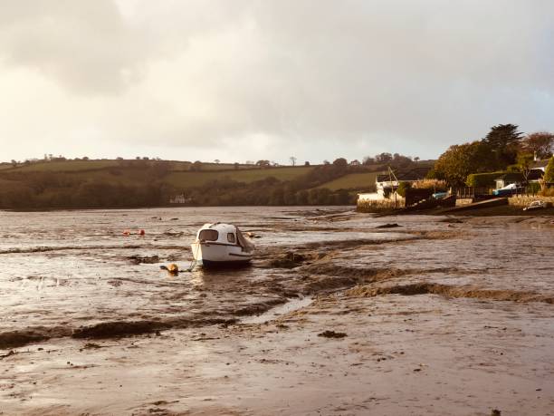 Across the mud to Devoran Creek.