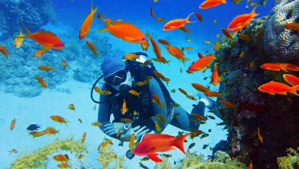 istock Man scuba diver near beautiful coral reef with tropical fish 1283001679