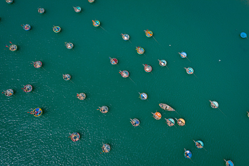 Drone view of many basket boats (gongs) are nailing on the sea in Phan Thiet, Central Vietnam