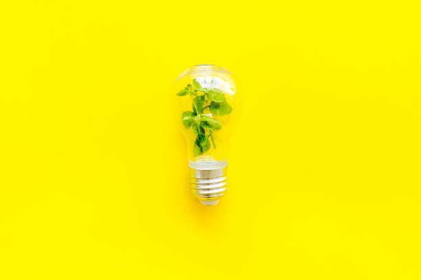 istock Renewable eco energy concept with light bulbs and green plant inside 1283008907
