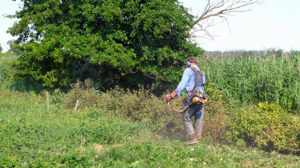 istock Senior man mows grass with petrol brush cutter. Man wearing work overalls, protective goggles, soundproof headphones and work gloves. Full-length view 1283008938