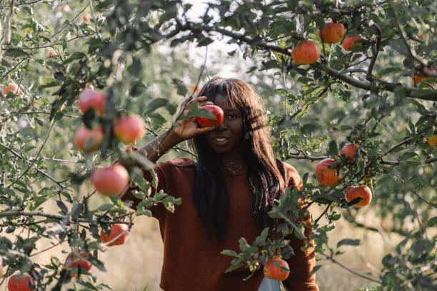 istock Afro woman in Apple Orchard. African ethnicity 1283013761