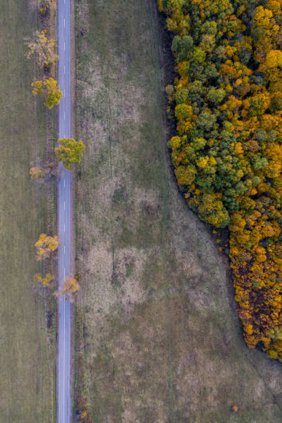 istock road drone view in autumn 1283013929