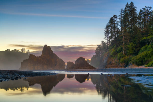 Olympic National Park, Washington, USA at Ruby Beach Olympic National Park, Washington, USA at Ruby Beach at dusk. pacific northwest stock pictures, royalty-free photos & images