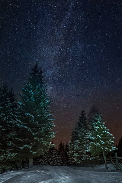 istock Sky full of stars in winter mountain forest 1283020598