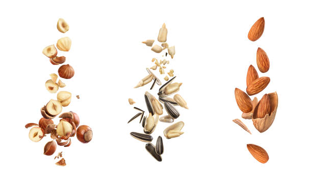istock Set of nuts and seeds in flight on a white background 1283026166