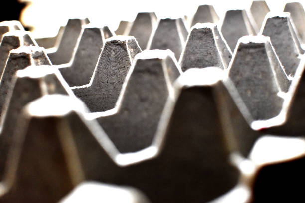 Background texture, close up, blur, cardboard packaging for eggs, Empty tray of eggs isolated