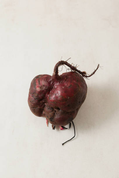 Ugly beetroot, close-up. Reduce the amount of organic food waste. This beets can be used in cooking Ugly beetroot, close-up. Reduce the amount of organic food waste. This beets can be used in cooking. ugly soup stock pictures, royalty-free photos & images