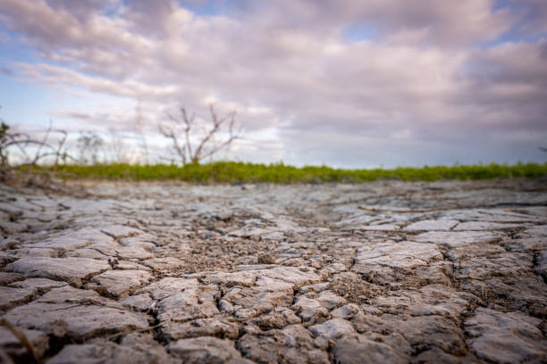 istock Trampled Ground Cracks on Trail to Costal Prarie 1283028108