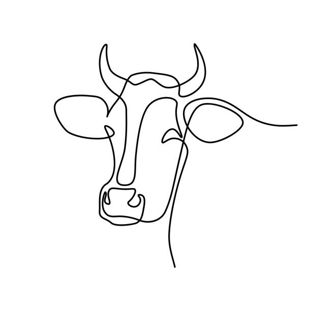 Cow portrait Cow head in continuous line art drawing style. Horned cow portrait minimalist black linear sketch isolated on white background. Vector illustration cow clipart stock illustrations