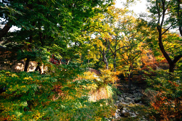 840+ Fotos, Bilder und lizenzfreie Bilder zu Bukhansan iStock