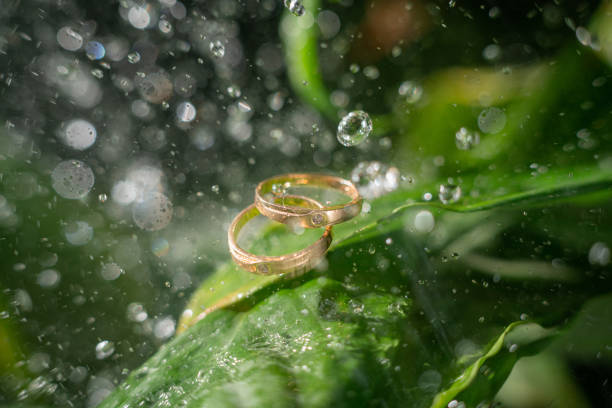 istock Couple of wedding ring creative photo 1283031839