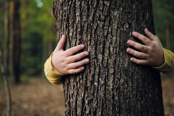 istock 6-7 years old cute child hugging tree and nature 1283031897